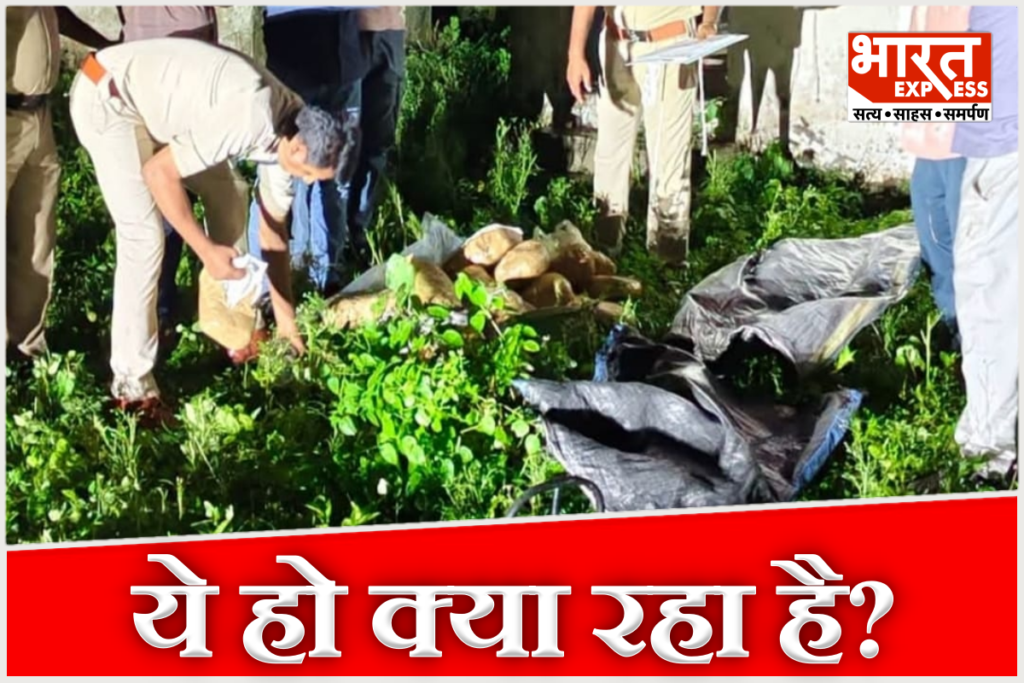 Singrauli school toilet ganja seizure