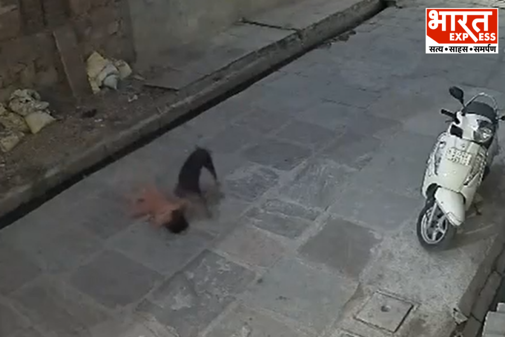 Stray Dog Attacks Minor Girl In Kota Rajasthan Horrifying CCTV Video Bharat Express