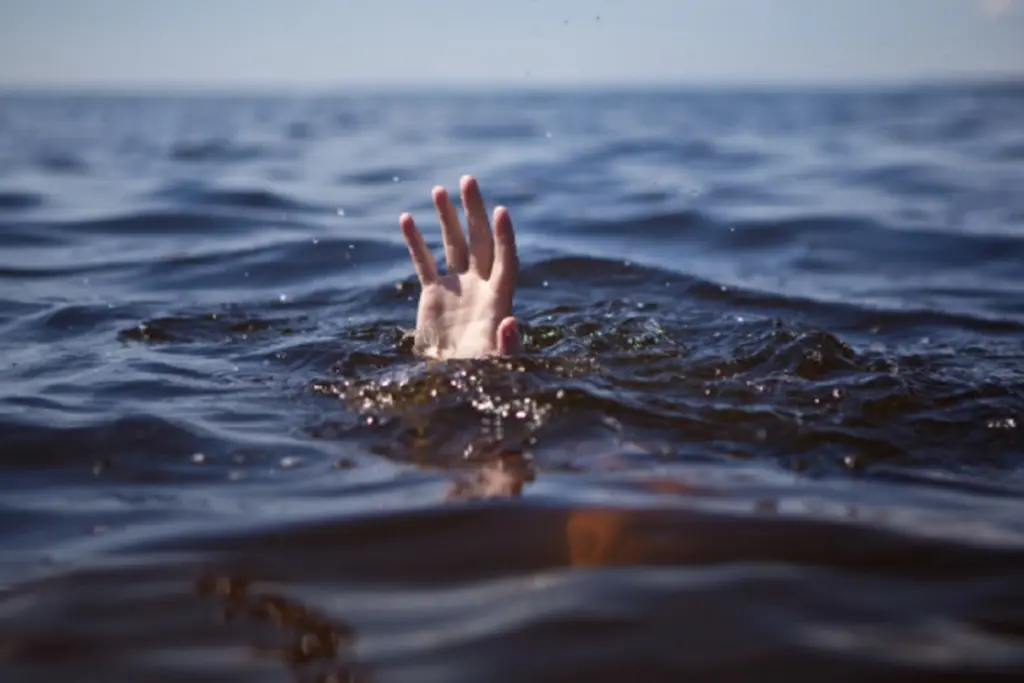 Three Real Brothers Drowned To Death In Purnia Bihar