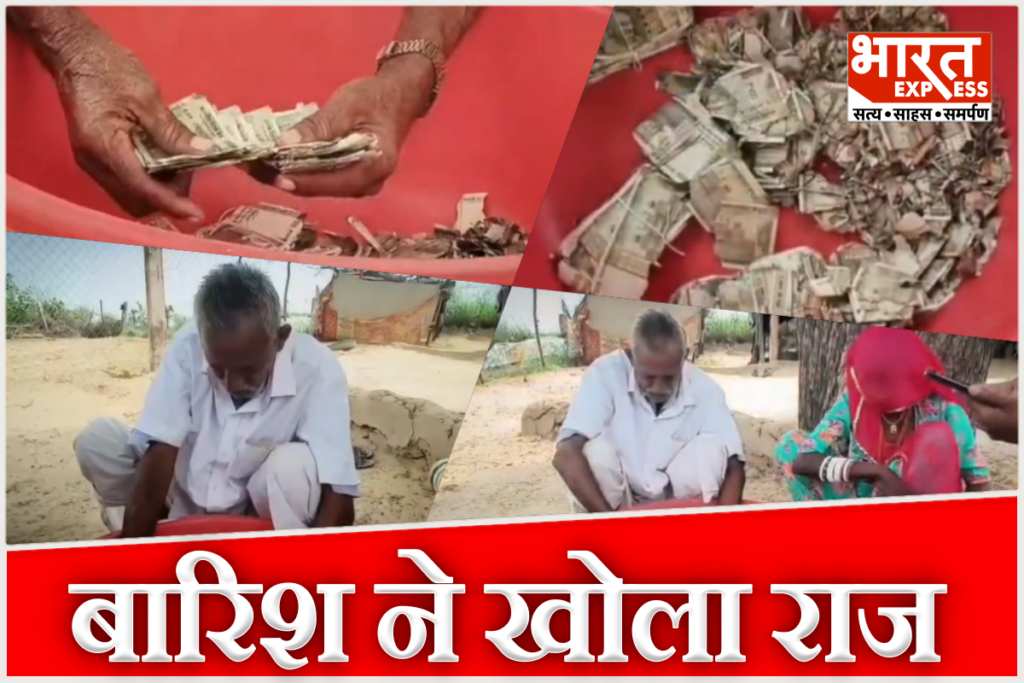 rajasthan-balotra-farmer-buried-5-lakh-rupees-in-field-termites-destroyed-notes
