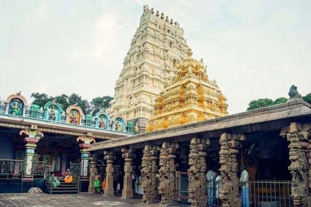 श्रीशैलम की पहाड़ियों में स्थित मल्लिकार्जुन ज्योतिर्लिंग भगवान शिव और माता पार्वती की आराधना से जुड़ा पवित्र धाम है. शिवरात्रि पर यहां विशेष धार्मिक आयोजन होते हैं.
