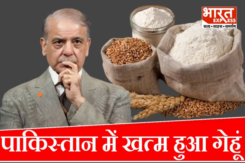 wheat stocks shortage In Pakistan Shehbaz government