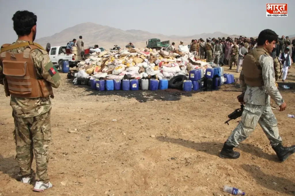 Afghanistan Drug Crackdown