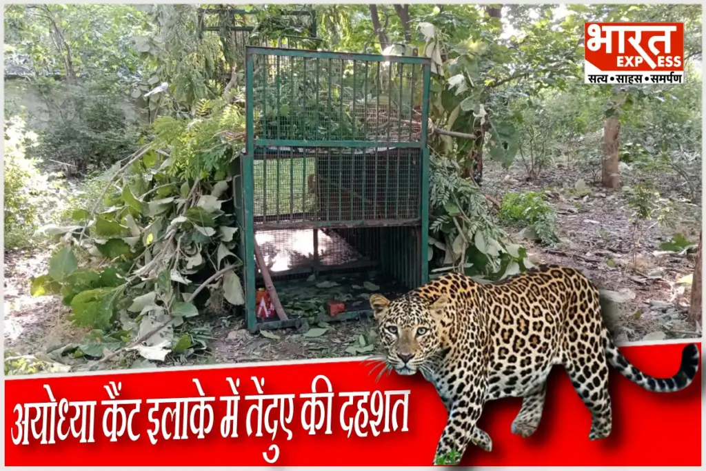 Ayodhya, Leopard,