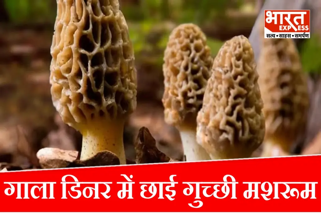 brics-summit-2026-gucchi-mushroom-rare-himalayan-mushroom-benefits