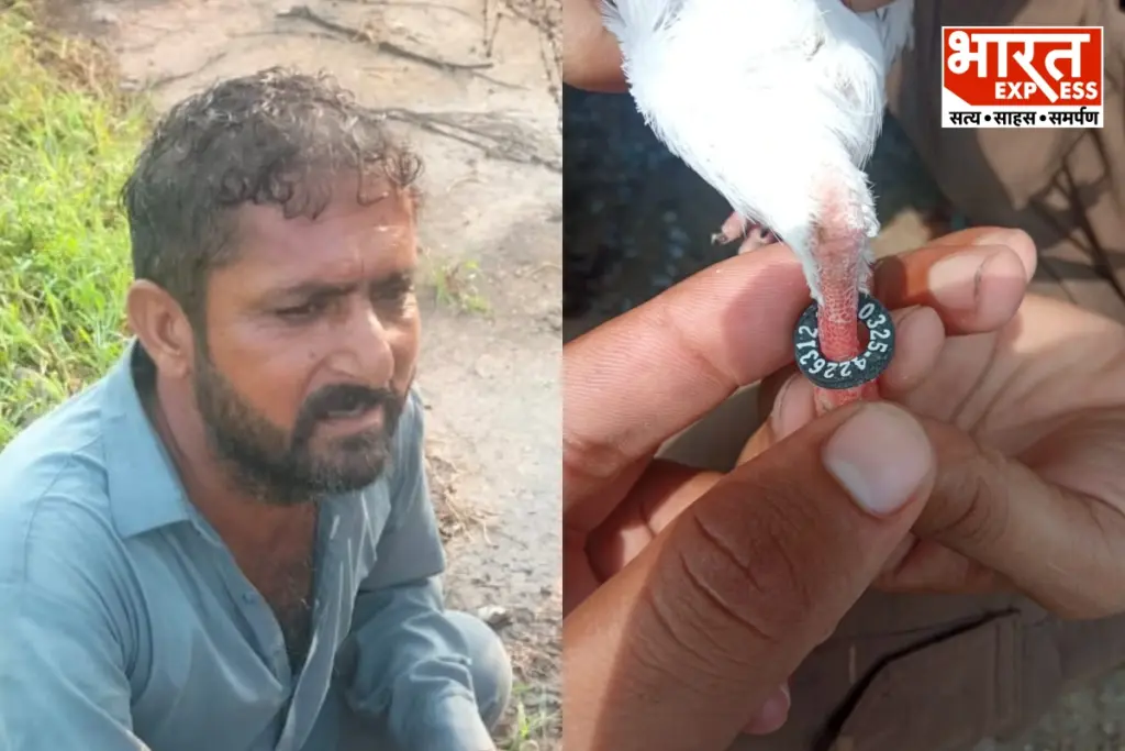BSF arrested a Pakistani national.