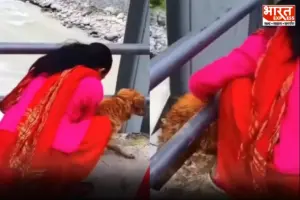 नेपाल में बेजुबान से क्रूरता: बीमार कुत्ते को नदी में फेंका, वीडियो वायरल होने के बाद आरोपी महिला गिरफ्तार