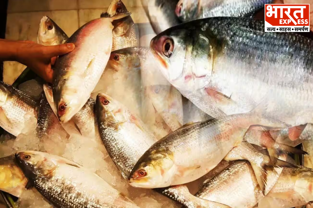 India Bangladesh Hilsa Fish Controversy Before Durga Puja Price Hike News