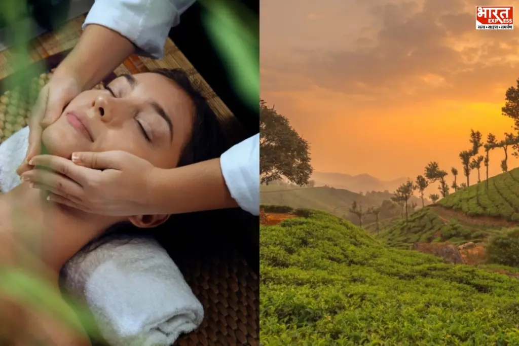  Kerala Wellness Tourism