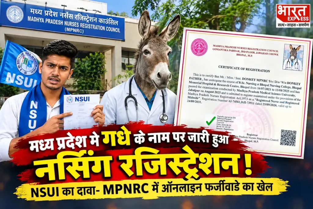 MPNRC donkey nursing registration certificate