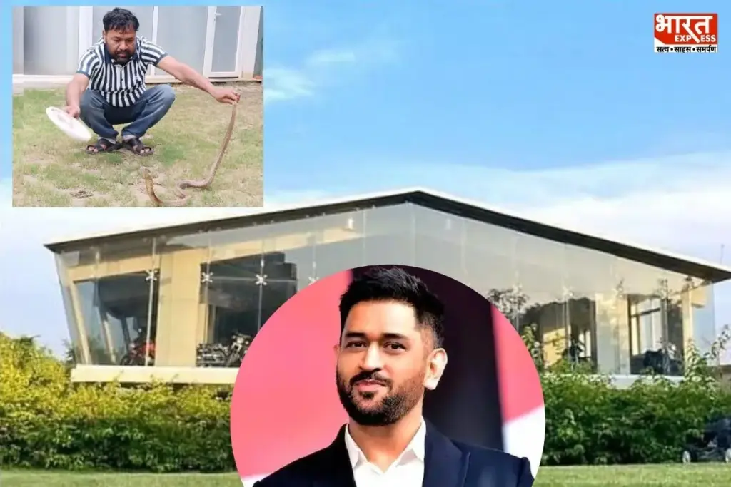 MS Dhoni