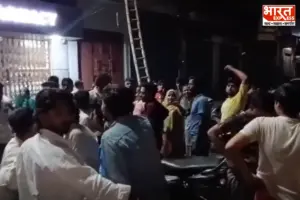 मेरठ में बिल्ली के बच्चे पर छिड़ी महाभारत: मामूली बात पर आमने-सामने आए पड़ोसी; धारदार हथियारों से किया हमला