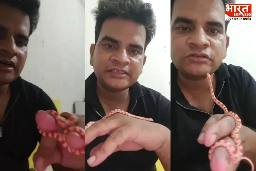 Meerut Snake Viral Video