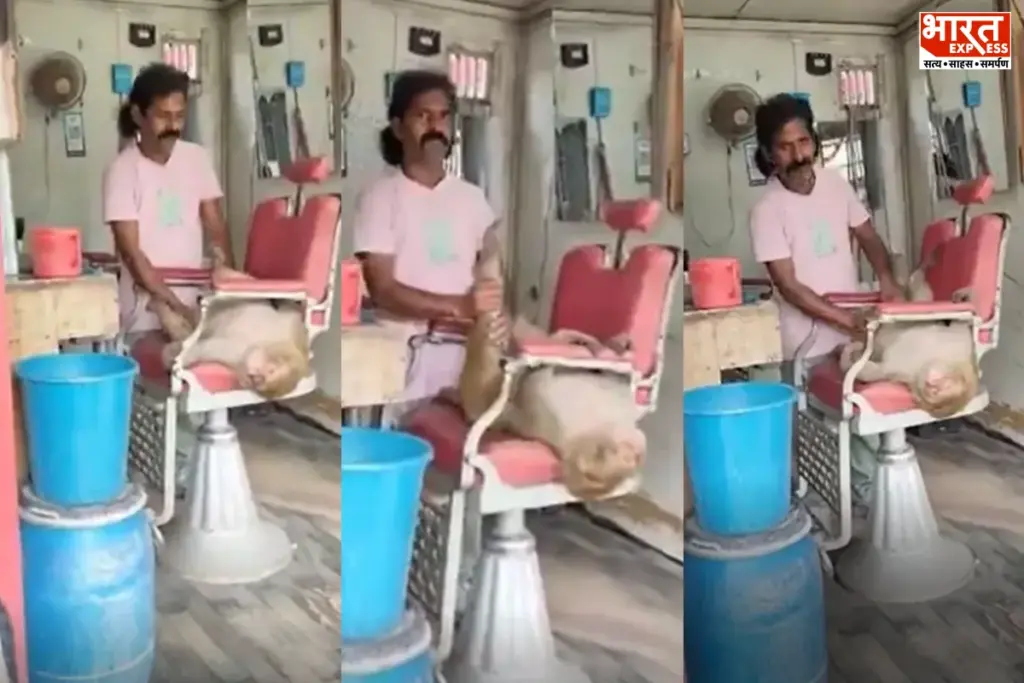 Monkey Massage Viral Video