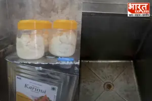 कॉकरोच-चींटियां, नकली घी और खुली नालियां, त्योहारों से पहले मुंबई में मिलावटखोरों पर नकेल, 5 रेस्टोरेंट्स पर ताला