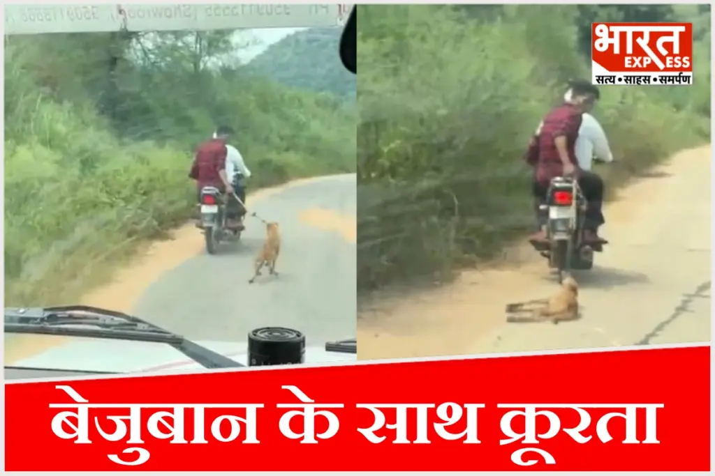 करौली में बेजुबान के साथ क्रूरता की घटना