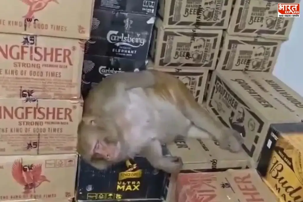 Ranchi Monkey Viral News