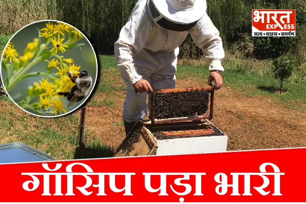 corporate-office-hr-complaint-reddit-viral-story-beekeeping-hobby-workplace-dispute