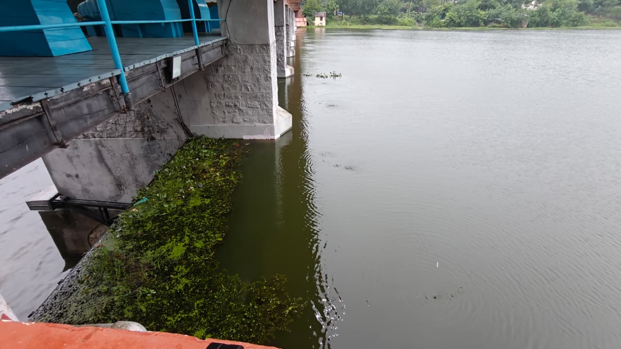 bhopal-heavy-rain-bhadbhada-dam-gate-opened
