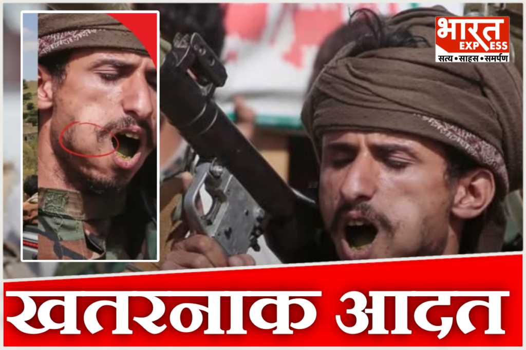 why Yemen Houthi rebels have swollen cheeks due to the nationwide addiction to Qat plant leaves