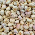 आपकी रसोई में तो नहीं आ गया बैन चाइनीज लहसुन? ऐसे पहचानें अंतर