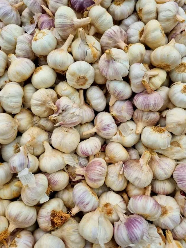 आपकी रसोई में तो नहीं आ गया बैन चाइनीज लहसुन? ऐसे पहचानें अंतर
