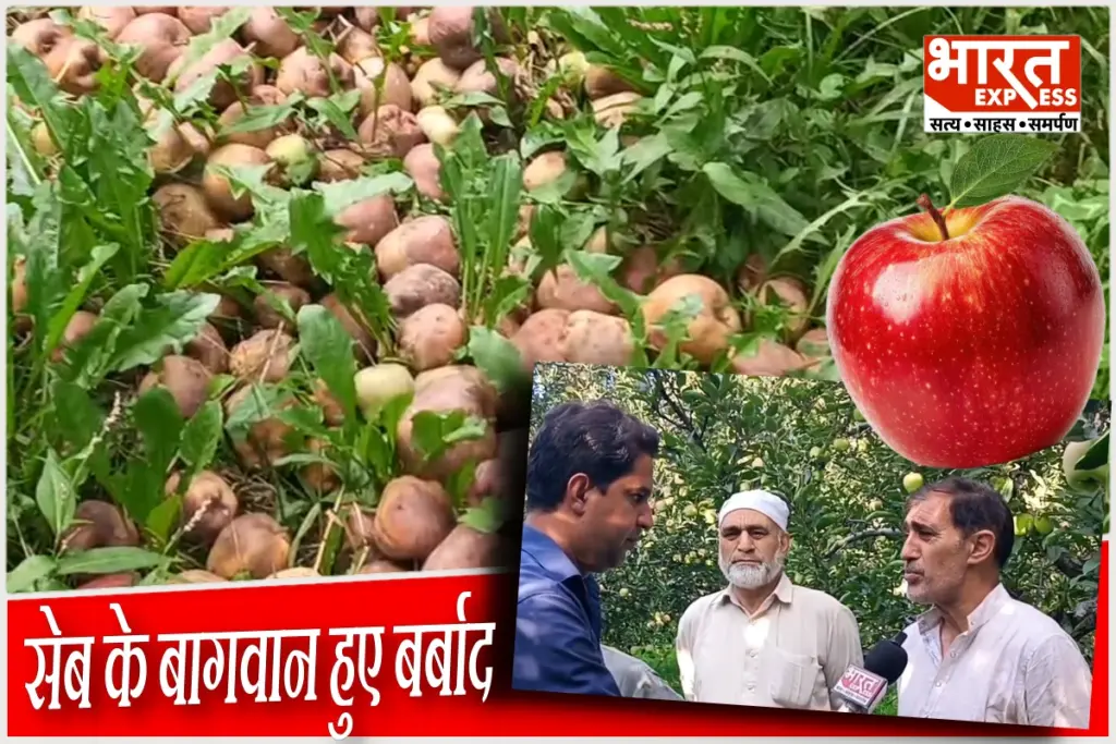jammu-kashmir-apple-growers