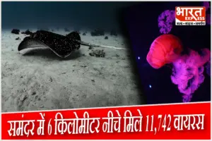 न सूरज की किरणें पहुंचतीं, न पोषक तत्व मिलते… यहां समंदर में 6 KM गहराई में पाए गए 11 हजार से ज्यादा नए वायरस