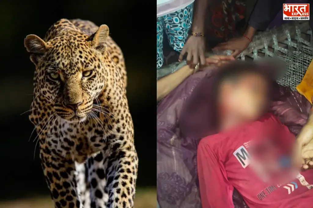 Bahraich Leopard Attack