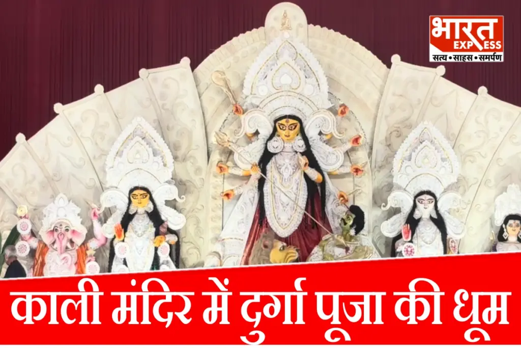 cr-park-kali-mandir-durga-puja-delhi