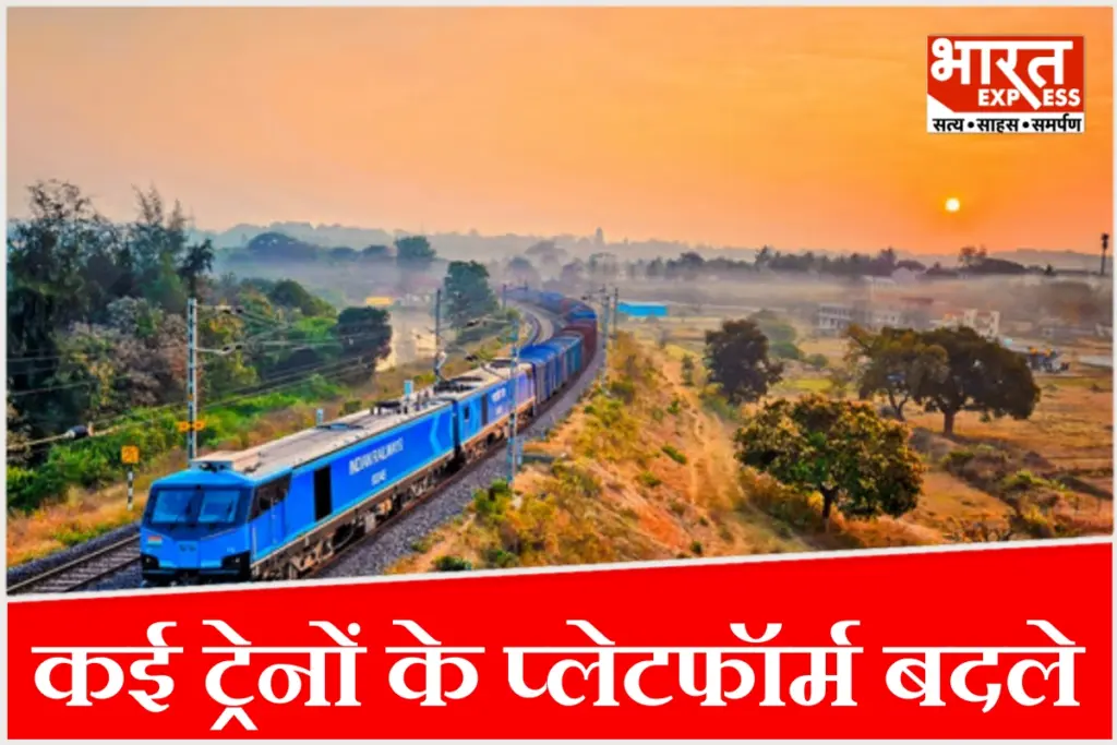 दिवाली और छठ के मद्देनजर नई दिल्ली रेलवे स्टेशन पर कई ट्रेनों के प्लेटफॉर्म बदले गए.