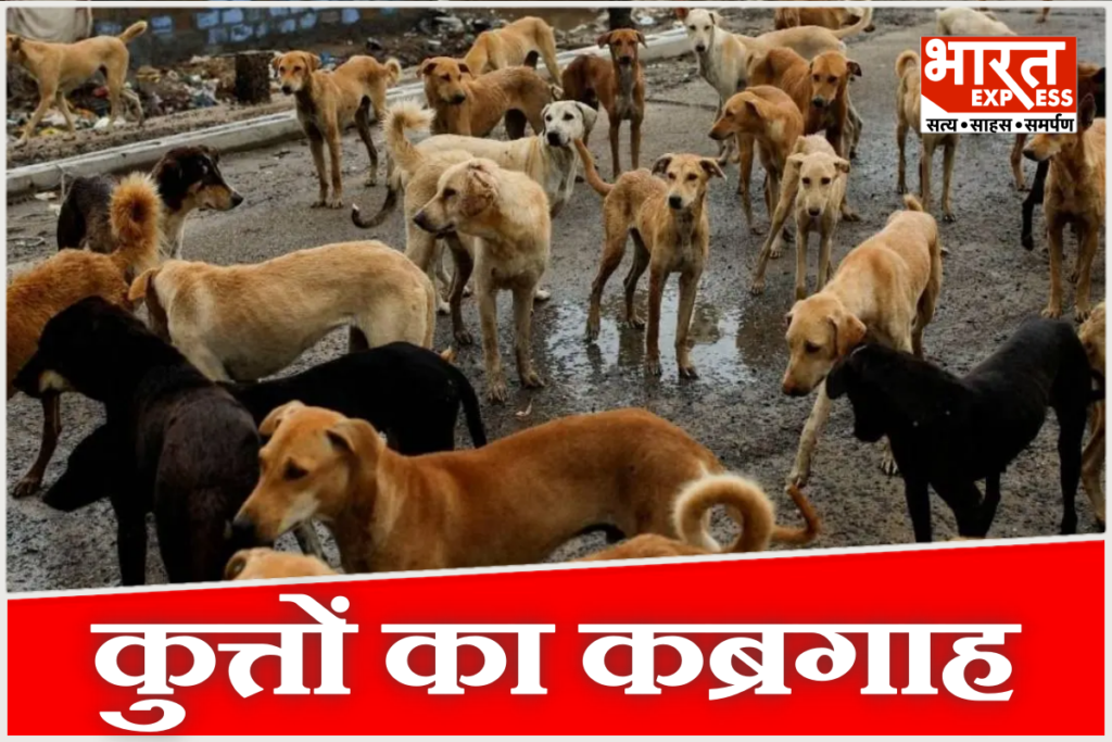 Dog Poisoning Case Dhule Maharashtra