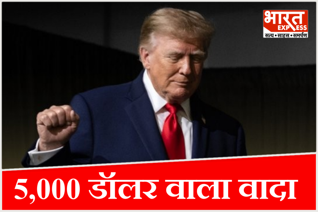 Donald Trump freebies