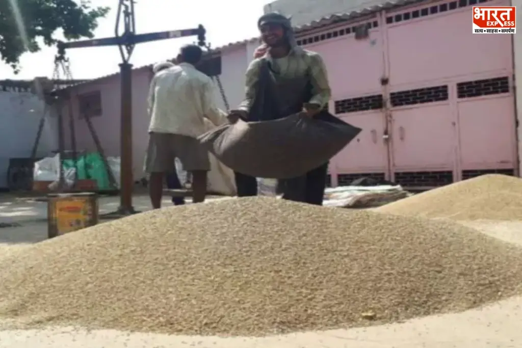 Haryana Millet Scam