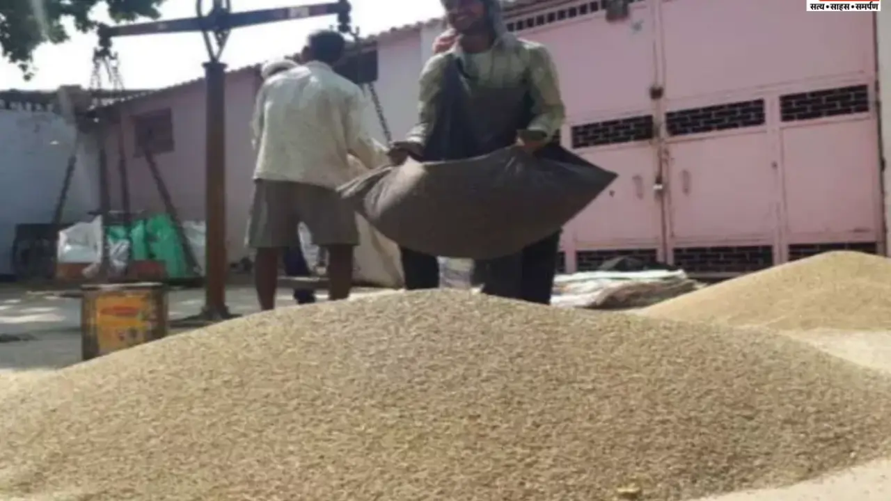 Haryana Millet Scam: हरियाणा बाजरा खरीद घोटाले में 5 अधिकारी सस्पेंड