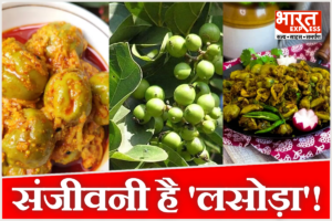 लसोड़ा… नाम तो सुना होगा! सेहत के लिए फायदे भी जानें, थाली का स्वाद और बीमारियों की छुट्टी