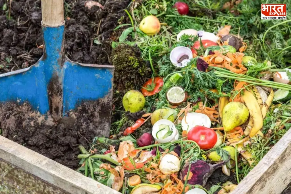 Kitchen Waste Gardening Tips