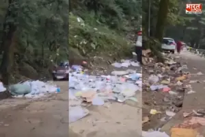 ‘पहाड़ों पर घूमने जाते हो या कूड़ा फैलाने..!’ मैकलोडगंज की सड़कों का VIDEO देख कैसे भड़के लोग?