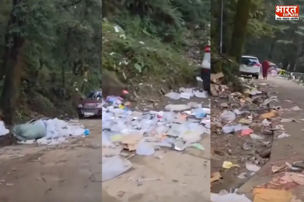 ‘पहाड़ों पर घूमने जाते हो या कूड़ा फैलाने..!’ मैकलोडगंज की सड़कों का VIDEO देख कैसे भड़के लोग?