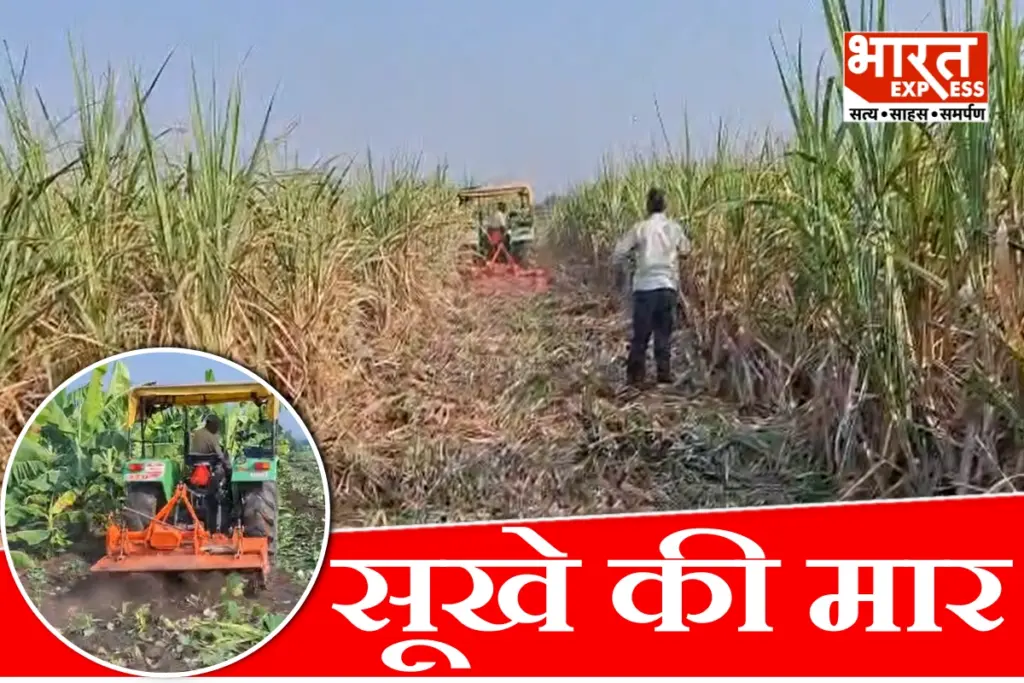 maharashtra-drought-nandurbar-farmers-six-hundred-feet-borewells-no-water-crop-loss