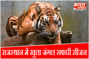 राजस्थान के जंगलों में गूंजी दहाड़! रणथंभौर और सरिस्का समेत 5 टाइगर रिजर्व खुले, घर बैठे ऐसे करें सफारी बुक