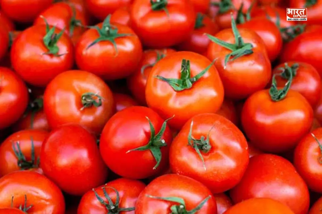 Tomato Price Crash in Maharashtra