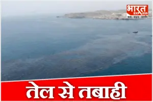UAE में तेल रिसाव से बढ़ा संकट, कई बीच बंद; समुद्री जीवों और पर्यावरण पर मंडराया बड़ा खतरा