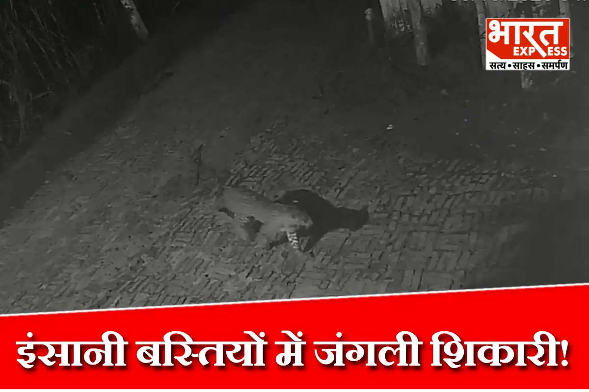 आंगन से गायब हुआ मासूम, जंगल में मिली लाश! नवसारी की इस वारदात से दहल उठे लोग; देखें VIDEO